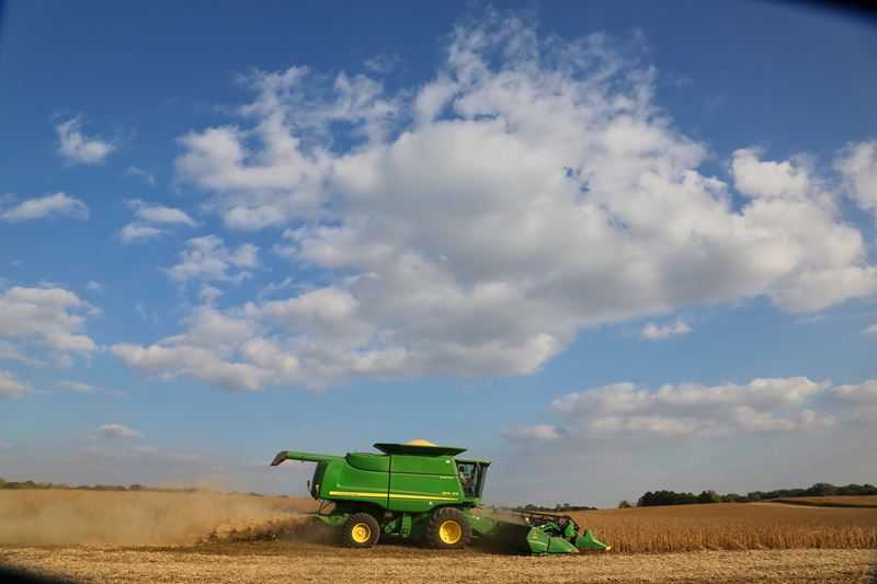 Combine cutting wheat field